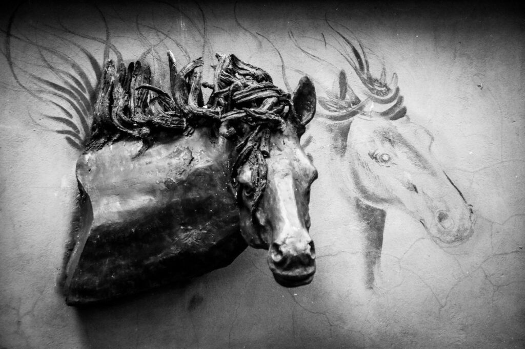 Proud Stallion Equestrian Portrait