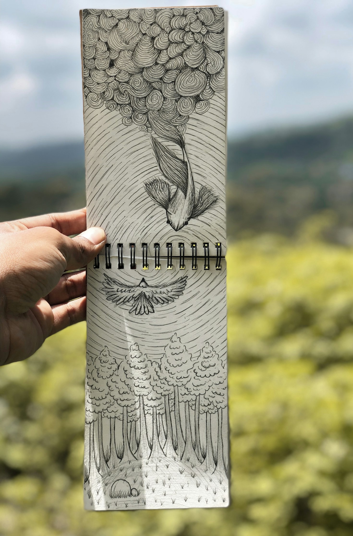 Caring for and Preserving Your Original Canvases